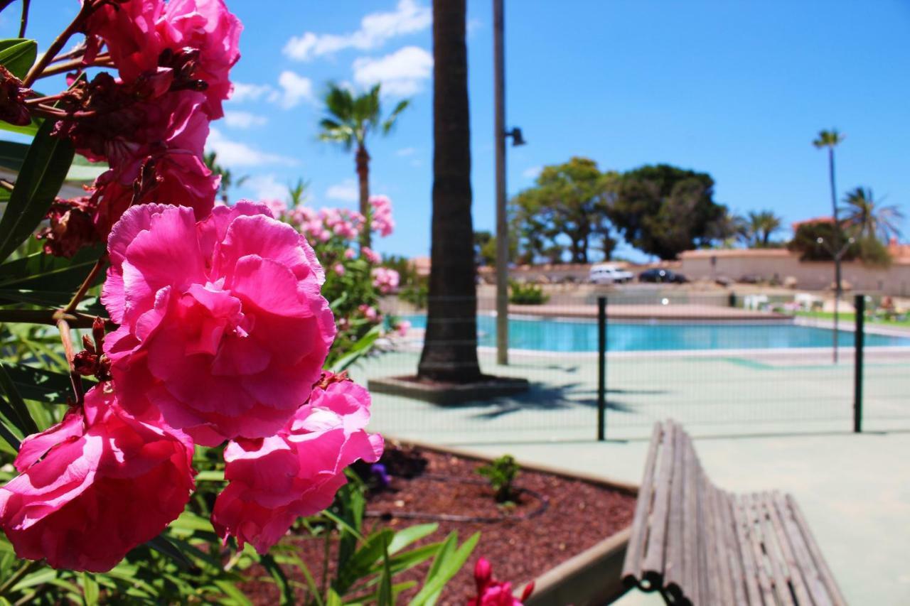 Soleado Apartamento Vistas Al Mar Los Cristianos Лос Кристианос Екстериор снимка